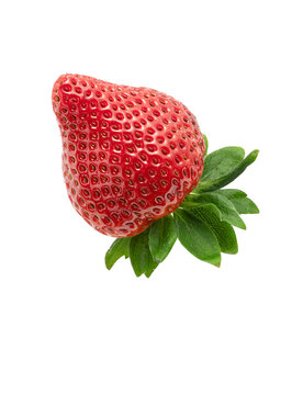 Perfect Strawberry