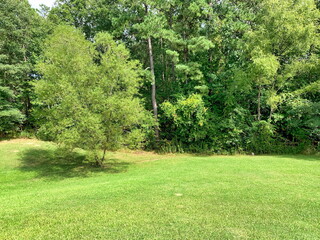 Nature and Landscape Setting