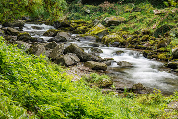 Obraz premium East Lyn Gorge riverside walk