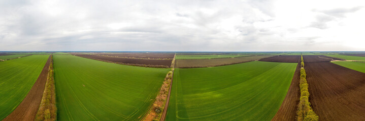 panoramic aerial view of the fields of the Kuban plain on a spring sunny day. 100 hectares of fields sown with winter wheat are divided by forest belts of stock and oak trees