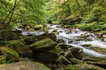 Obraz premium East Lyn Gorge riverside walk