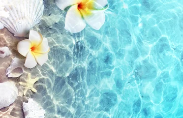 Fototapeten Seesterne, Muscheln und Blumen am Sommerstrand im Meerwasser. Sommerhintergrund. © Belight