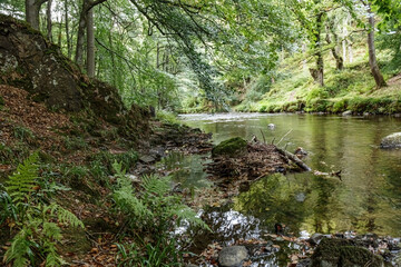 East Lyn Gorge riverside walk