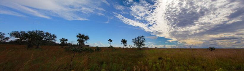 Fototapeta na wymiar Views at Kissimmee Prairie Preserve State Park, Florida