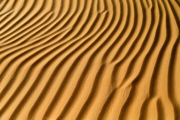 Natural pattern of the sand dune in the desert in Abu Dhabi. Closeup abstract texture.