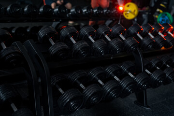 Professional gym equipment. Exercise indoor physical training.