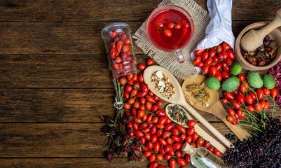 Dog rose, bunch branch Rosehips Rosa canina hips, goji berries and sea buckthorn and herbal tea - Medicinal plants herbs composition to enhance immunity and vitamins