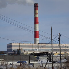 Obraz premium plant