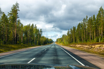 A shot taken from a speeding car. Forward the road, on the sides of the forest: pines and birches