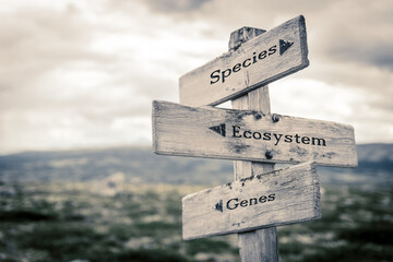 species ecosystem genes text quote written in wooden signpost outdoors in nature. Moody theme feeling.