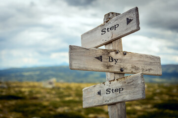 step by step text quote written in wooden signpost outdoors in nature. Moody theme feeling.
