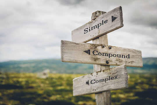simple compund complex text quote written in wooden signpost outdoors in nature. Moody theme feeling.