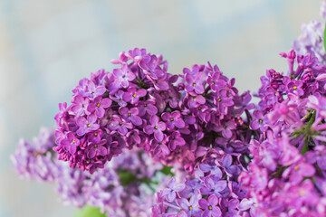 Close-up photo of a bouquet of flowers with lilac petals on a light background