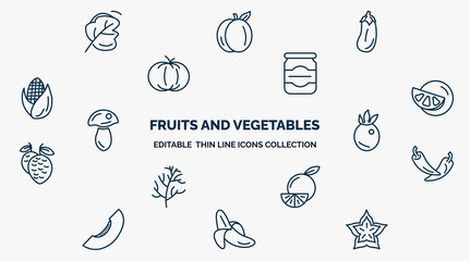concept of fruits and vegetables web icons in outline style. thin line icons such as spinach, eggplant, mason jar, grapefruit, passion fruit, pepper, orange, banana, carambola vector. - obrazy, fototapety, plakaty