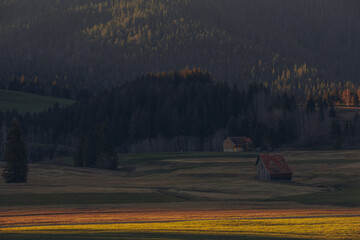 Fototapeta premium Rural Swiss Golden Hour