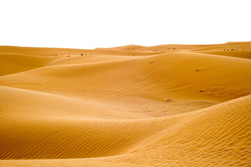 beautiful natural relief of sand dunes in the desert