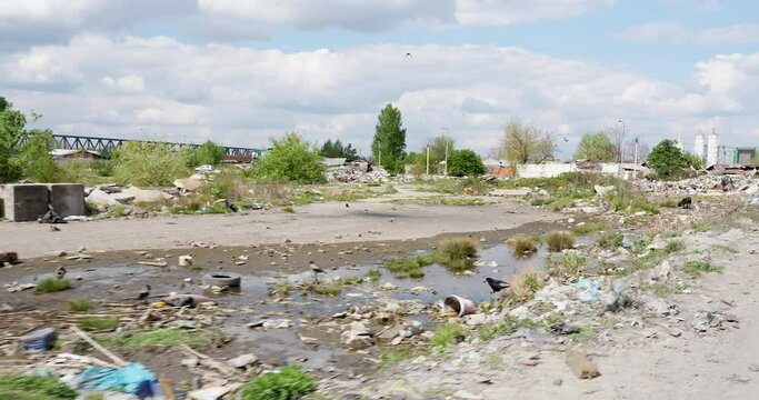 garbage by the roadside left by man disturbing nature and its habitat