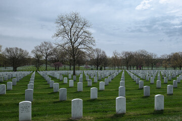 Naklejka premium Arlington National Cemetery w Pentagon