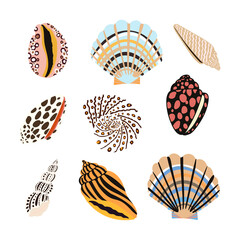 Sea shells, fossils and mollusks object set. Summer beach hand-drawn seaside vector print. Fashion bright multicolored illustration. Seashore elements design