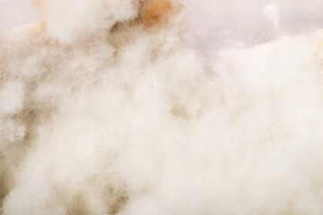 Close-up of white mold formed on food macro photography