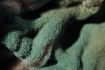 Close-up of green mold formed on food macro photography