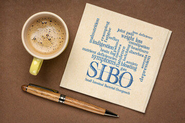 SIBO (small intestinal bacterial overgrowth) symptoms - word cloud on a napkin, flat lay with a cup...