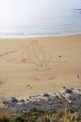 sea monster on the beach