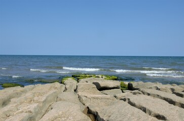 Fototapeta na wymiar stones on the seashore. The sea is blooming, the tina on the rocks