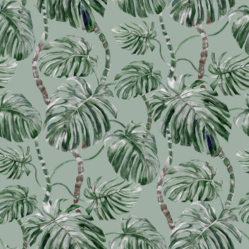 Seamless pattern with Monstera Home flower painted in watercolor on a green background © Марина Воюш