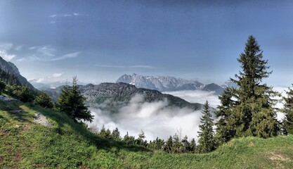 Das Kaisergebirge über einem Wolkenmeer vom Unterberghorn aus gesehen mit Fichten im Vordergrund, Alpen, Tirol, Österreich