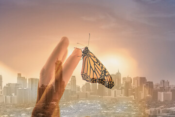 Freedom, hope, and peace in the city concept. Butterfly on persons finger on city sunset...