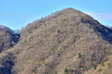 西丹沢の善六山山頂から畦ヶ丸を望む
