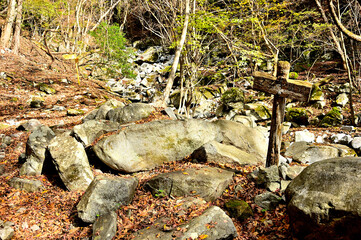 丹沢の畦ヶ丸　大滝沢コースのマスキ嵐沢標識
