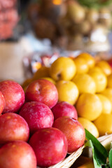 Red and yellow plums close-up on the market. Selective focus.