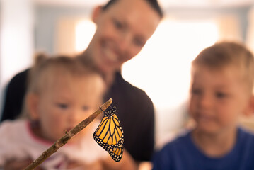 Family looking at butterfly 