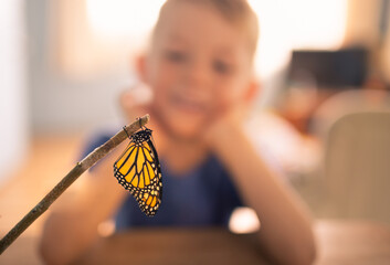 curious child looking at butterfly 