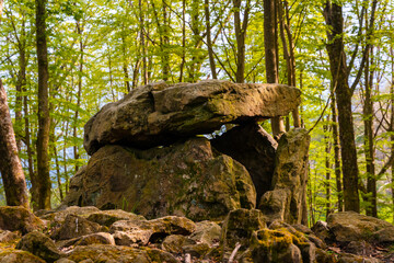 Detail of the Aitzetako Txabala Dolmen in the Basque Country in spring. Errenteria, Gipuzkoa