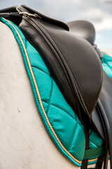 dressage saddle and saddle pad