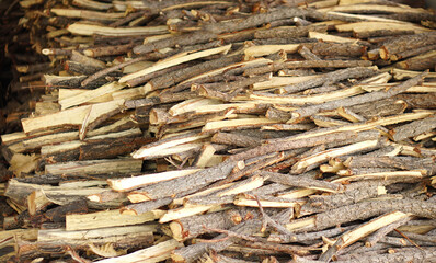 Pile of branches are used as fuel for cooking.