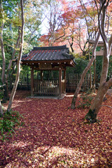 秋の蓮華寺　紅葉の境内の井戸　京都市左京区