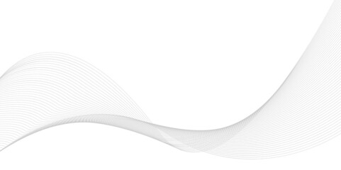 Vector wave lines flowing dynamic isolated on white background. Abstract background.