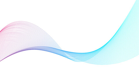 Vector wave lines flowing dynamic isolated on white background. Abstract background.