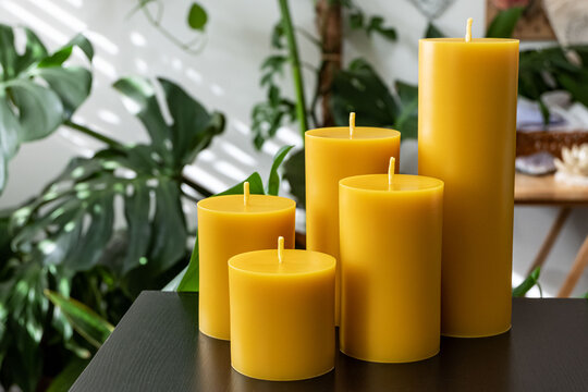 Five beeswax pillar candles of various sizes with plants in the background.