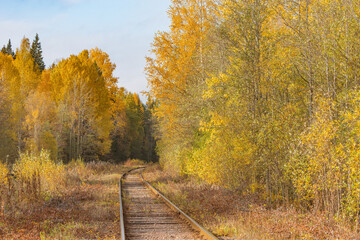 Fototapeta na wymiar Long railway line in the forest at autumn day.