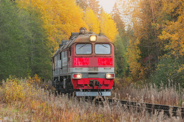 Freight locomotive moves in the forest.