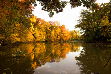 autumn in the park