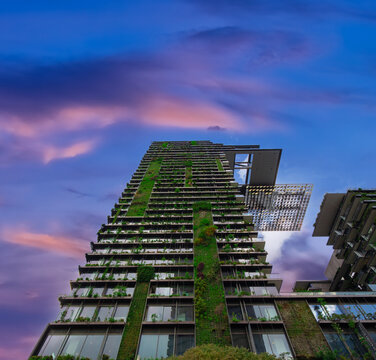 Apartment block in Sydney NSW Australia with hanging gardens and plants on exterior of the building at Sunset with lovely colourful clouds in the sky