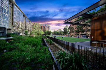 Obraz premium Apartment block in Sydney NSW Australia with hanging gardens and plants on exterior of the building at Sunset with lovely colourful clouds in the sky