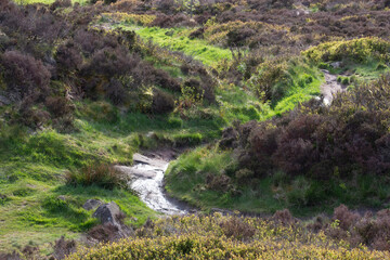 river in the mountains