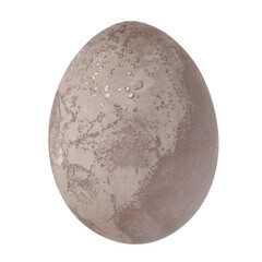 Grey egg isolated